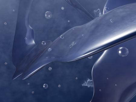 fonds marins