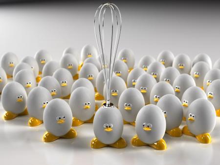 Les oeufs en révolte