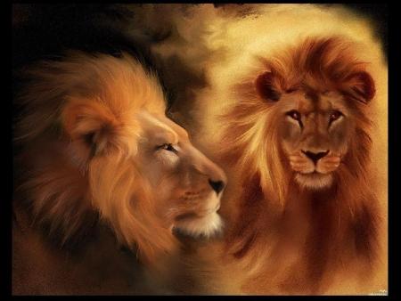 Le roi des animaux: Le lion!!