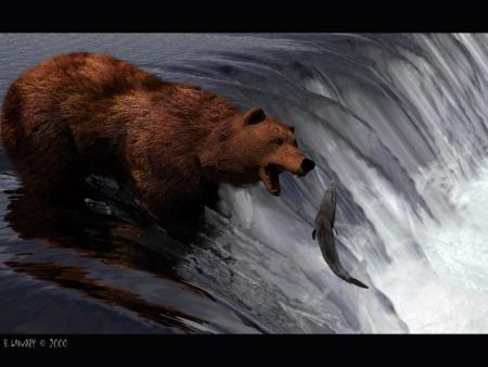 saumon mangé par un ours brun