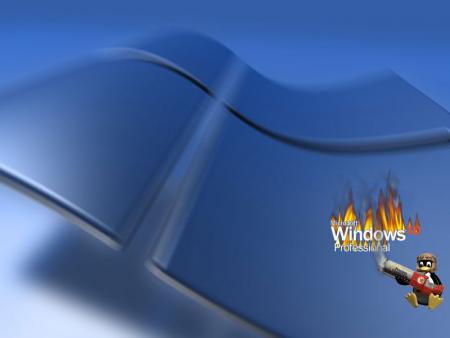 windows professionnal